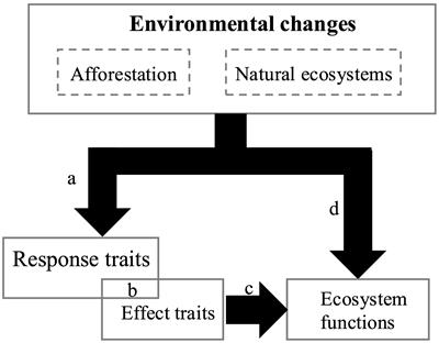 Understanding the impact of introduction of Robinia pseudoacacia on community functional structure and moisture regulation in the Loess Plateau, China, using a trait-based approach